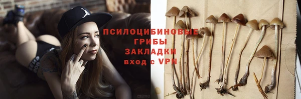 ALPHA PVP Алексин