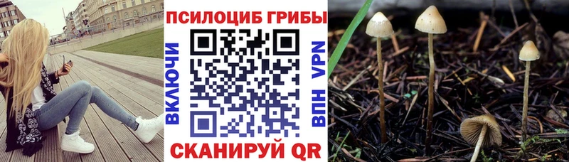 Галлюциногенные грибы Cubensis что такое Салават