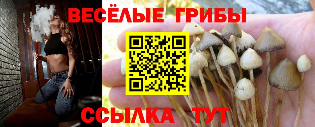 Галлюциногенные грибы ЛСД Салават